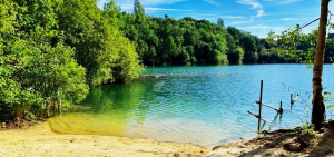 Divers Cove, North Park Lane