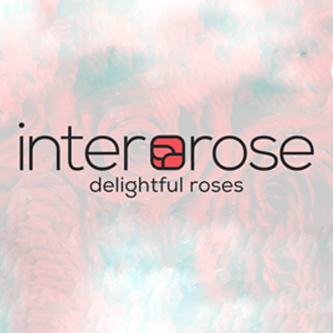 InterRose Discount Codes