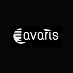 Avaris eBikes Discount Codes